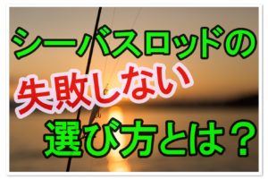 バスロッドの長さや硬さの使い分けのコツとは オススメは 全国釣りで回る青年が教えるフィッシング情報