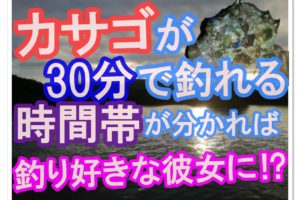 ワカサギ釣りをしたら料理しよう 釣り道具とレシピも紹介 全国釣りで回る青年が教えるフィッシング情報