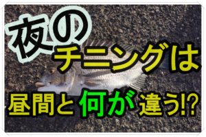 ワカサギ釣りをしたら料理しよう 釣り道具とレシピも紹介 全国釣りで回る青年が教えるフィッシング情報