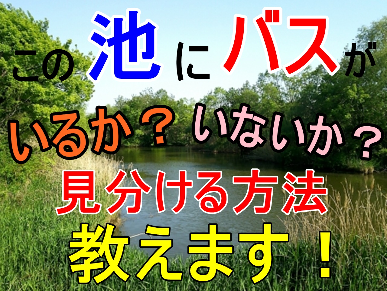 この池にバスがいるか いないか 見分け方 教えます 全国釣りで回る青年が教えるフィッシング情報