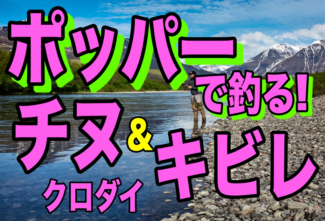 チヌとキビレをポッパーで釣るには 断然アツいトップ攻略 全国釣りで回る青年が教えるフィッシング情報