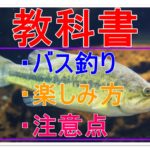 アコウ キジハタ をワームで釣る リグとアクションは 全国釣りで回る青年が教えるフィッシング情報