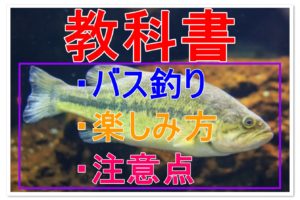 バスのリリースで逮捕 なら料理して食べてしまおう 全国釣りで回る青年が教えるフィッシング情報