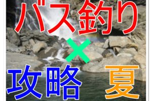 ワカサギ釣りをしたら料理しよう 釣り道具とレシピも紹介 全国釣りで回る青年が教えるフィッシング情報