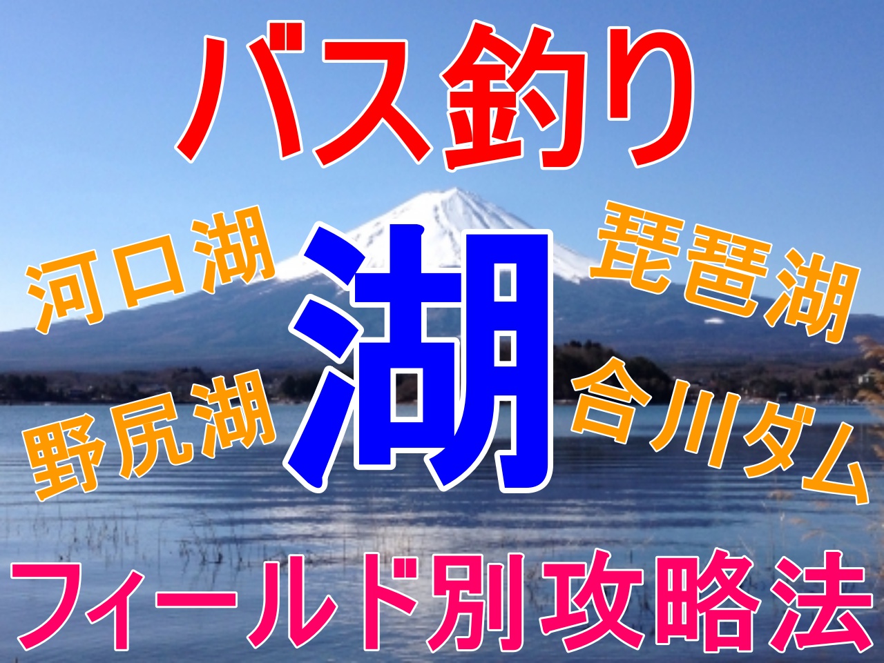 湖でバスを釣り上げよう フィールド別の攻略をお教えします 全国釣りで回る青年が教えるフィッシング情報
