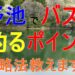 気軽に野池でバスを釣るポイント!季節別攻略法教えます!!