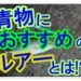 青物をルアーで釣る!おすすめルアーの選び方と動かし方とは?