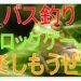 バス釣りでフロッグゲーム楽しもう!!これで大興奮できる!?